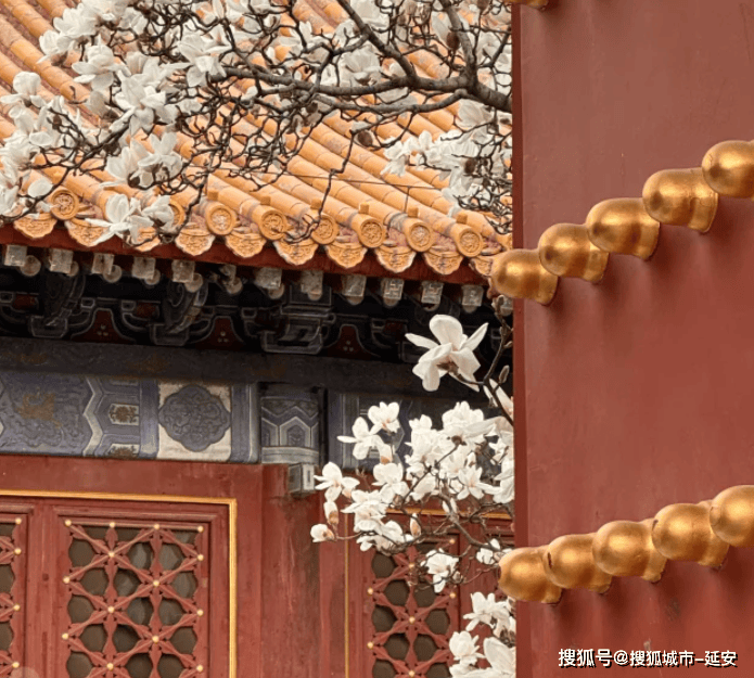 旅游5天4晚实用攻略跟团五日价格m6米乐注册北京旅游景点推荐北京