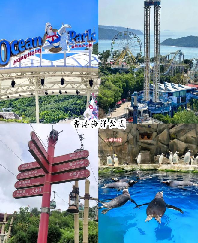 日游景点推荐攻略：这些景点不容错过m6米乐港澳四日游路线规划港澳四(图7)