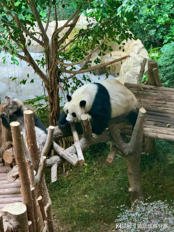 几月份去旅游景点 玩转精华！成都的著名景