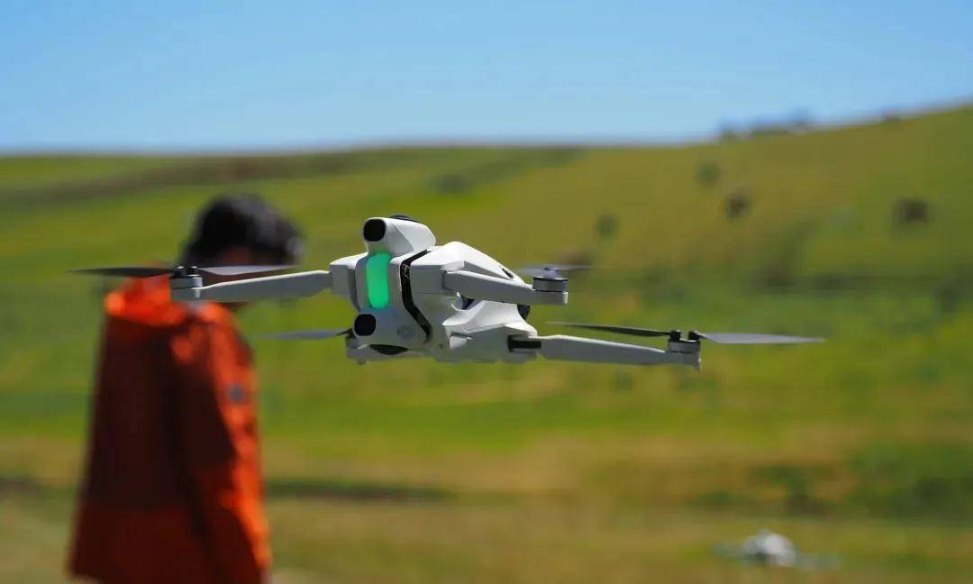 住了自己的命脉被突袭的影石守(图6)